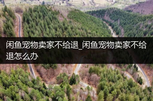 闲鱼宠物卖家不给退_闲鱼宠物卖家不给退怎么办