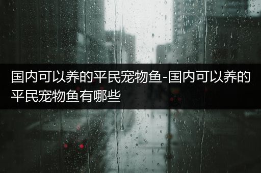 国内可以养的平民宠物鱼-国内可以养的平民宠物鱼有哪些