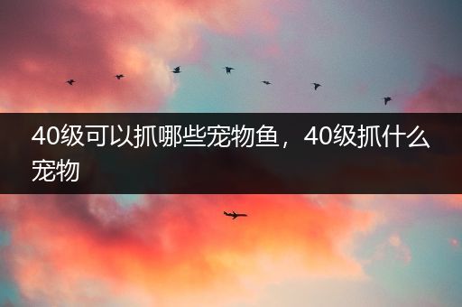 40级可以抓哪些宠物鱼，40级抓什么宠物