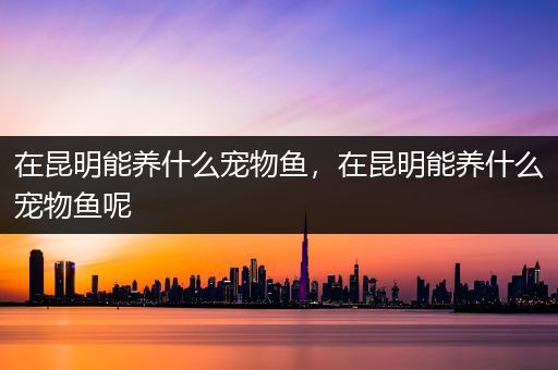 在昆明能养什么宠物鱼，在昆明能养什么宠物鱼呢