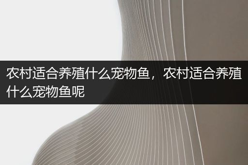 农村适合养殖什么宠物鱼，农村适合养殖什么宠物鱼呢