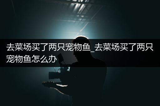 去菜场买了两只宠物鱼_去菜场买了两只宠物鱼怎么办