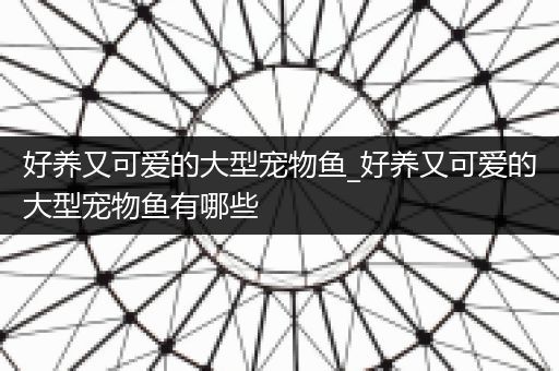 好养又可爱的大型宠物鱼_好养又可爱的大型宠物鱼有哪些