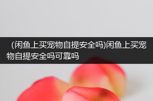 （闲鱼上买宠物自提安全吗)闲鱼上买宠物自提安全吗可靠吗