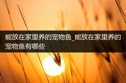 能放在家里养的宠物鱼_能放在家里养的宠物鱼有哪些