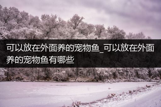 可以放在外面养的宠物鱼_可以放在外面养的宠物鱼有哪些