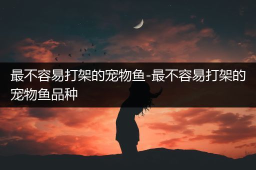 最不容易打架的宠物鱼-最不容易打架的宠物鱼品种