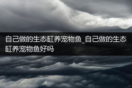 自己做的生态缸养宠物鱼_自己做的生态缸养宠物鱼好吗