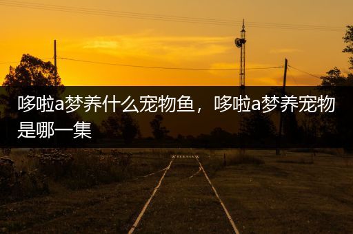 哆啦a梦养什么宠物鱼，哆啦a梦养宠物是哪一集