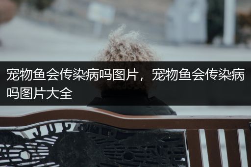 宠物鱼会传染病吗图片，宠物鱼会传染病吗图片大全