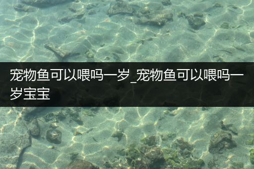 宠物鱼可以喂吗一岁_宠物鱼可以喂吗一岁宝宝