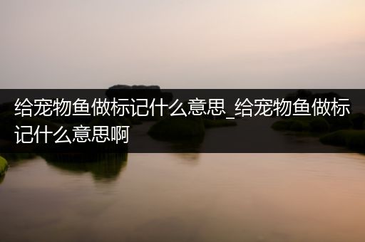 给宠物鱼做标记什么意思_给宠物鱼做标记什么意思啊