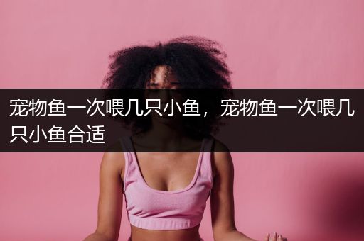 宠物鱼一次喂几只小鱼，宠物鱼一次喂几只小鱼合适