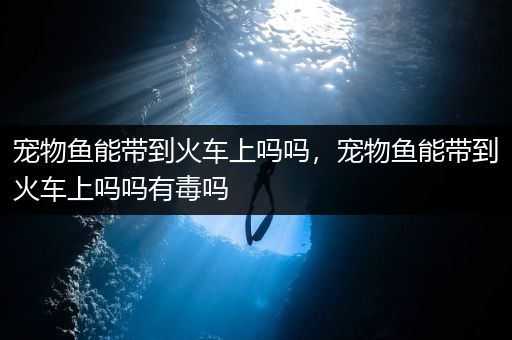 宠物鱼能带到火车上吗吗，宠物鱼能带到火车上吗吗有毒吗