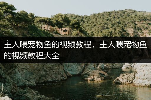 主人喂宠物鱼的视频教程，主人喂宠物鱼的视频教程大全