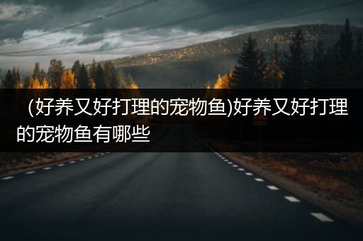 （好养又好打理的宠物鱼)好养又好打理的宠物鱼有哪些