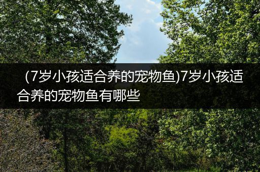 （7岁小孩适合养的宠物鱼)7岁小孩适合养的宠物鱼有哪些