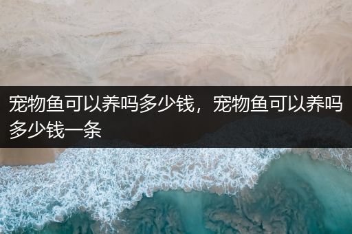 宠物鱼可以养吗多少钱，宠物鱼可以养吗多少钱一条