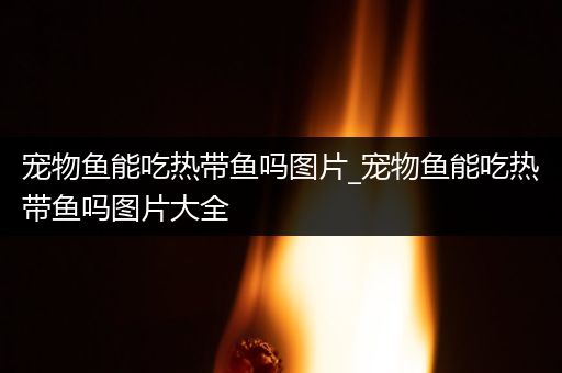 宠物鱼能吃热带鱼吗图片_宠物鱼能吃热带鱼吗图片大全