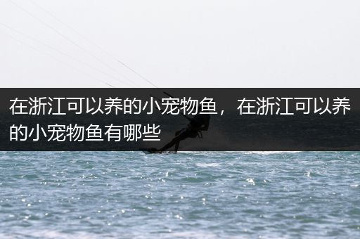 在浙江可以养的小宠物鱼，在浙江可以养的小宠物鱼有哪些